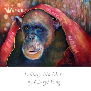 Poster Image of "Nesting for NIne" - a portrait of Jody Chimpanzee by Cheryl Feng